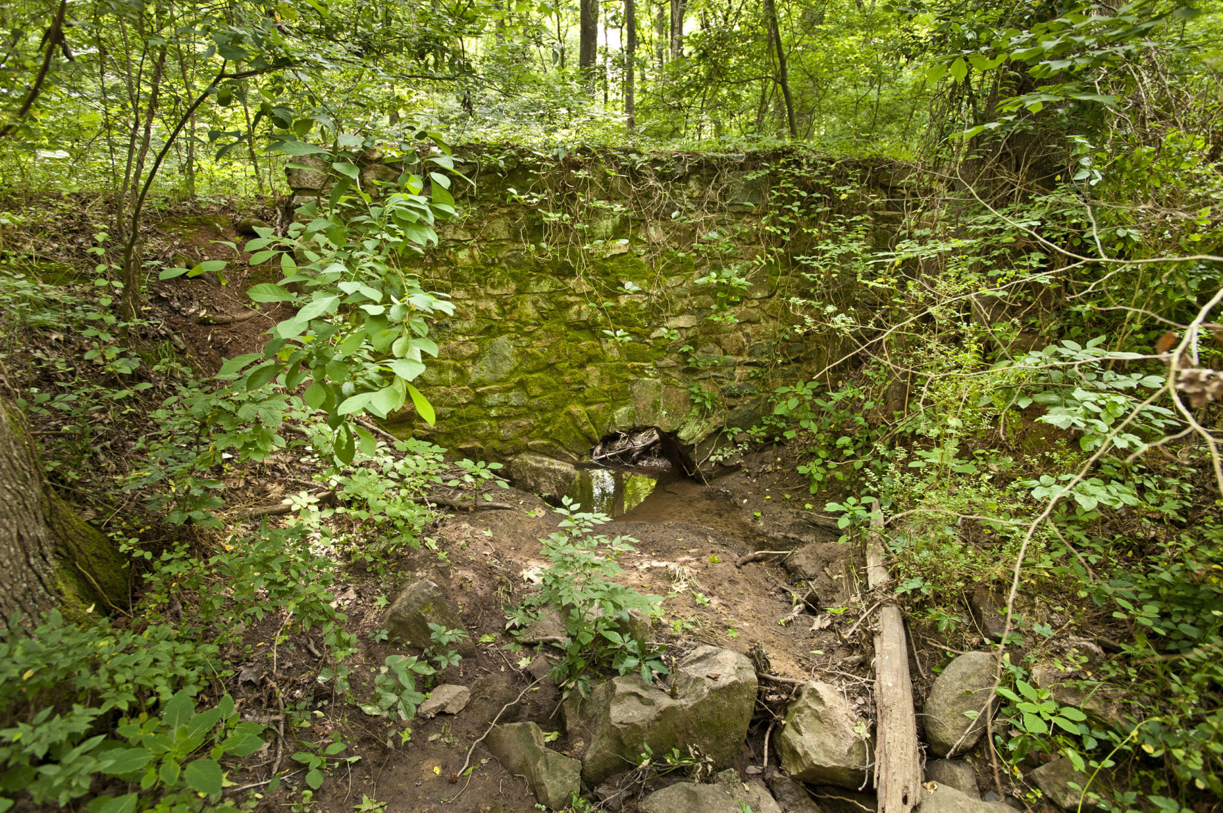 Landsford Canal State Park